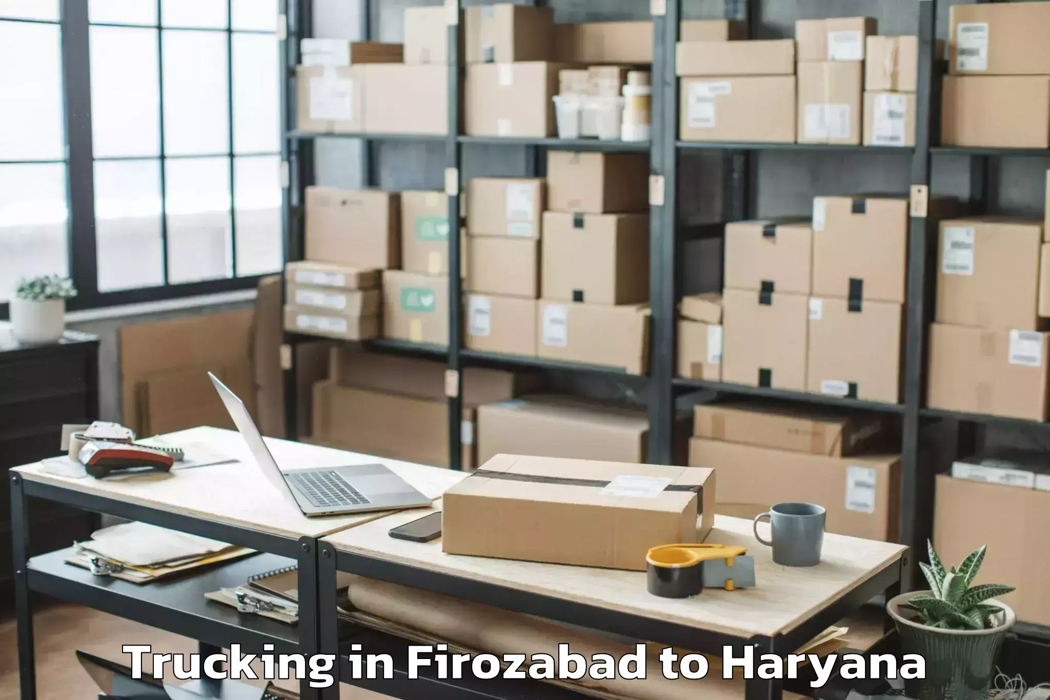 Book Firozabad to Sushant University Gurgaon Trucking Online